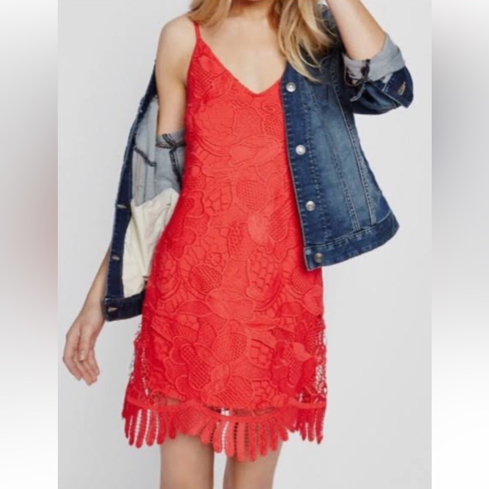Express crochet lace trapeze dress